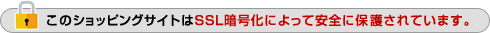 このショッピングサイトはSSL暗号化によって安全に保護されています。